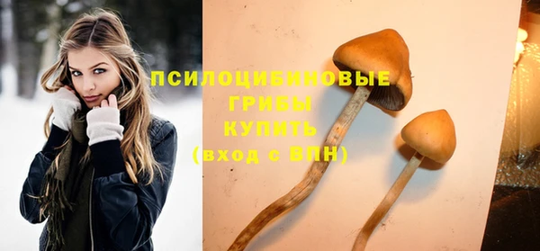 бошки Аркадак