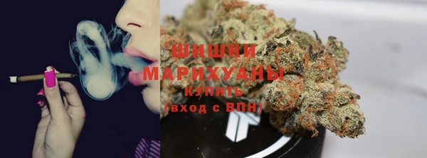 PSILOCYBIN Зерноград