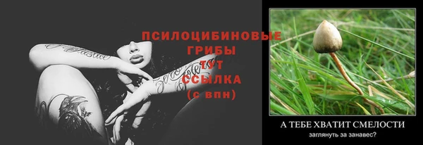 бошки Аркадак