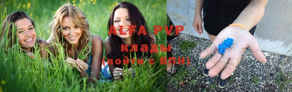 бошки Аркадак