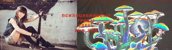 бошки Зеленокумск