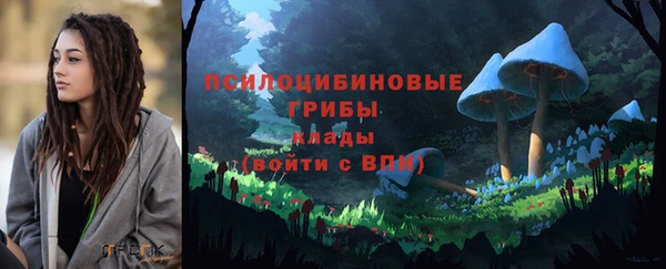 метадон Арсеньев